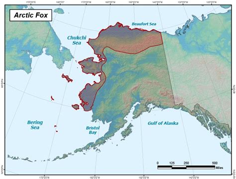 Arctic Fox Range Map Alaska Department Of Fish And Game