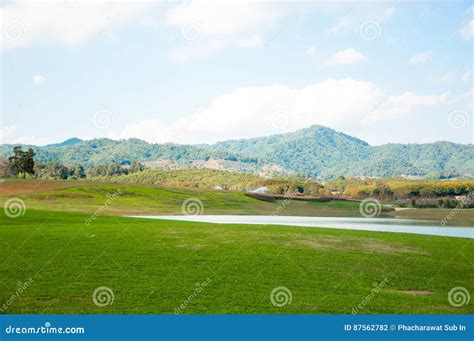 Wide Green Field On Rolling Hills And Blue Sky With Clouds Among Stock