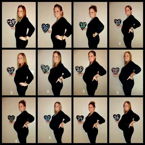 Baby Bump Progression Take A Picture Every 2 Weeks In The Same Shirt