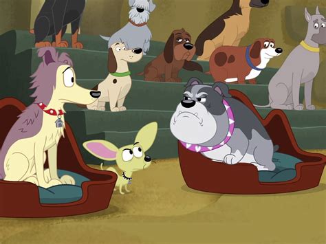 It is the second series, right after the first series, to adapt the pound puppies into a cartoon. Watch Pound Puppies Episodes on The Hub | Season 3 (2013) | TV Guide