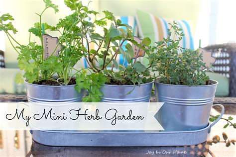 Mini Herb Garden Joy In Our Home
