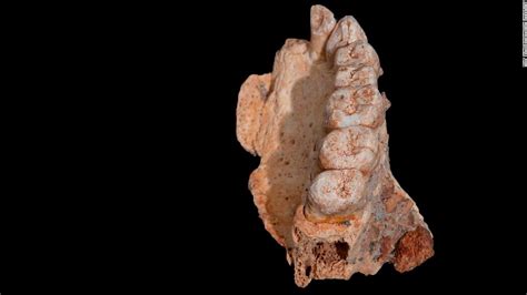 Human Fossil Discovery Rewrites History Cnn