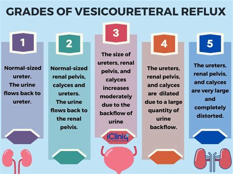 what is vesicoureteral reflux