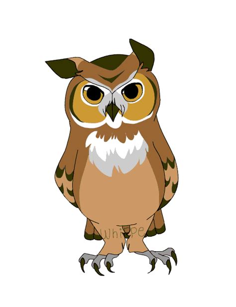 Animated  Owl Animation Animated  Owl