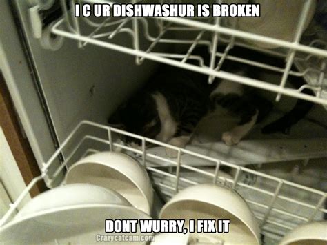Dishwasher Memes