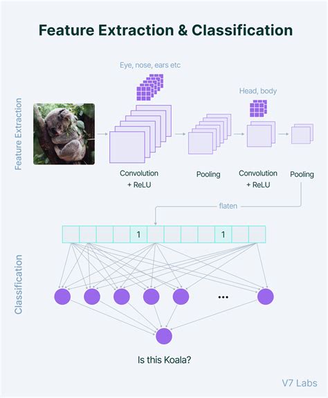 The Essential Guide To Neural Network Architectures