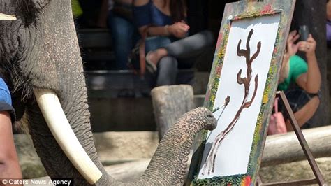 Amazing Footage Captures Elephants Painting Incredible Works Of Art