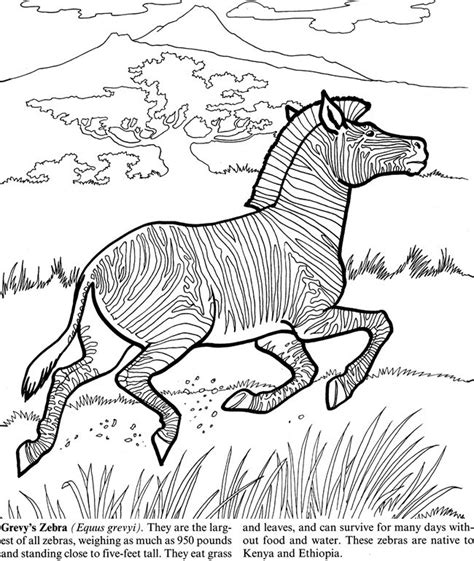 Endangered Animals By Jan Sovak Coloring Page 2 Welcome To Dover