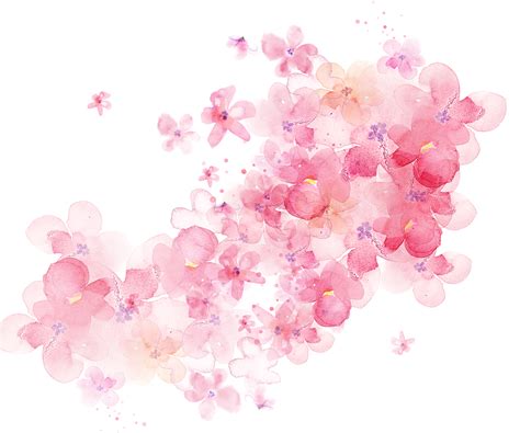 Imagen Relacionada Flower Painting Floral Watercolor Pink