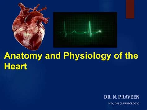 Anatomy And Physiology Of The Heart Ppt