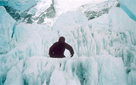 Does The Yeti Exist Scientists Use Dna Evidence In Bid To Solve