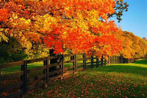 Where To Find The Best Fall Foliage Near Bardstown Ky Maple Hill