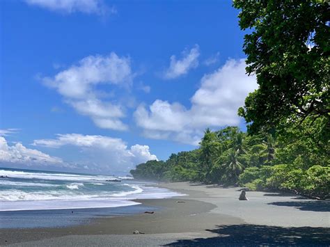 Corcovado National Park Osa Peninsula Costa Rica 4032 X 3024 Oc