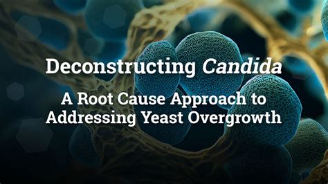 Deconstructing Candida A Root Cause Approach To Addressing Yeast