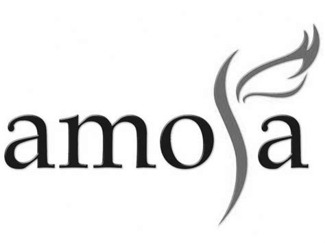 Amora Amora International Ltd Trademark Registration