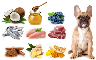 The 2021 list of pet foods i trust to give my own pets. Dog Food Recall List August 2020 - LOANKAS