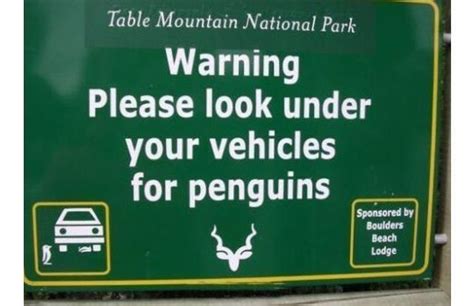 30 Hilariously Weird Road Signs Slide 16 Offbeat Funny Road Signs