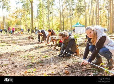 Group Of Children Planting Trees In The Forest As A Voluntary Climate