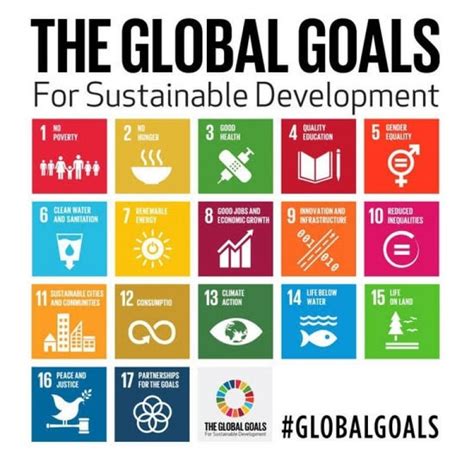 Sustainable Development Goals: Assam -2030 in light of SDGs | Planning Tank