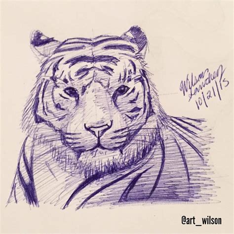 Tiger Pen Drawing At Explore Collection Of Tiger