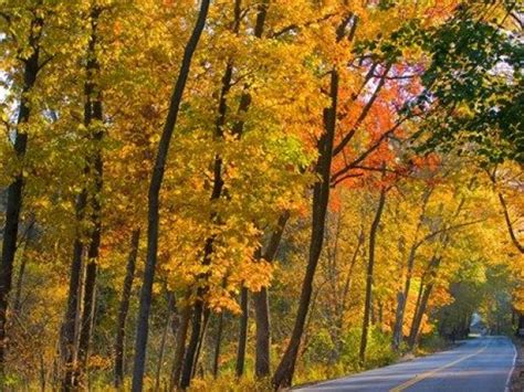 10 Gorgeous Fall Drives In Illinois Chicago Il Patch