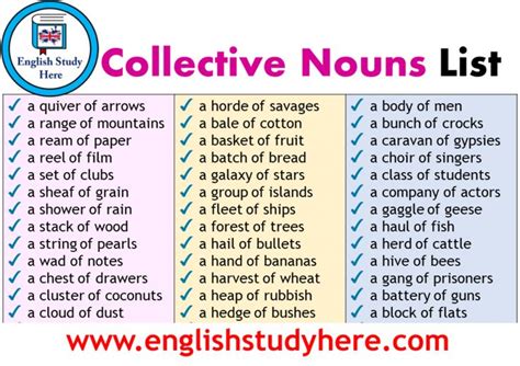 Collective Nouns List English Study Here Collective Nouns English