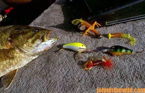 Best Smallmouth Bass Lures Enjoy Free Shipping