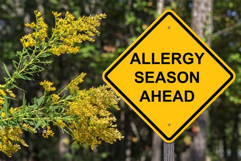 4 Tips To Keep Your Seasonal Allergies In Check Colorado Allergy