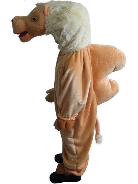 Child Camel Costume Child Costumes Plymouth Fancy Dress Costumes