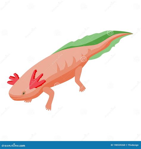 Lake Axolotl Icon Isometric Style Vector Illustration Cartoondealer