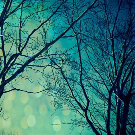 Nature Photography Surreal Dreamy Teal Trees By Sandraarduiniphoto