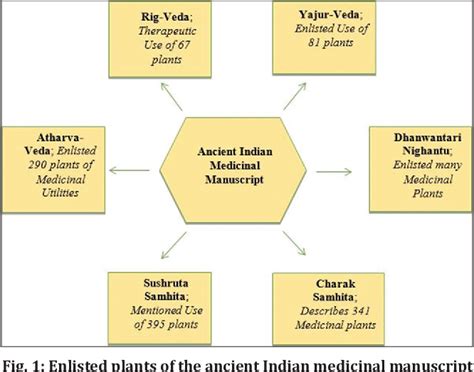 Figure 1 From History Of Indian Traditional Medicine A Medical
