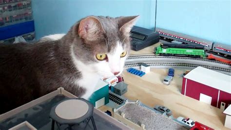 Cat Proofing Your Train Room Model Railroad Hobbyist Magazine