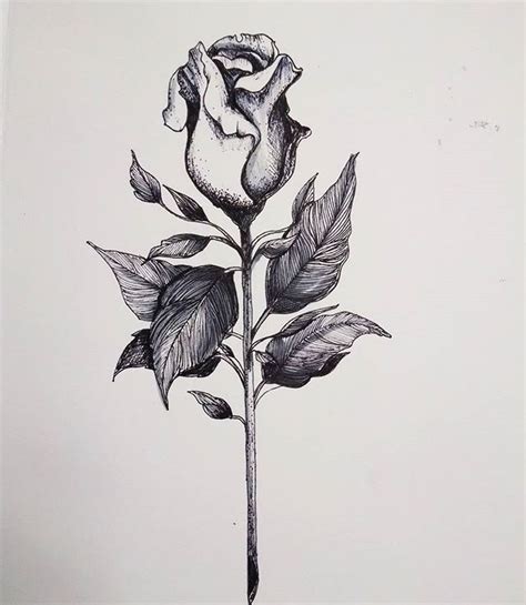 Start with an arc extending upwards near connect the last two petals with a single curved line. #rose #rosetattoo #roses #tattoos #girlswithtattoo # ...