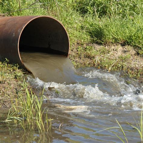 Public Officials Under Investigation For Allowing Sewage To Flow Into