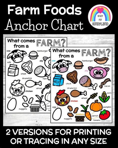 Farm Anchor Chart Poster Farm Animals Produce Pumpkin Corn