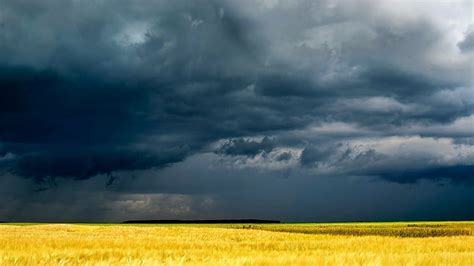 Hd Wallpaper Nature Overcast Storm Landscape Wheat Field