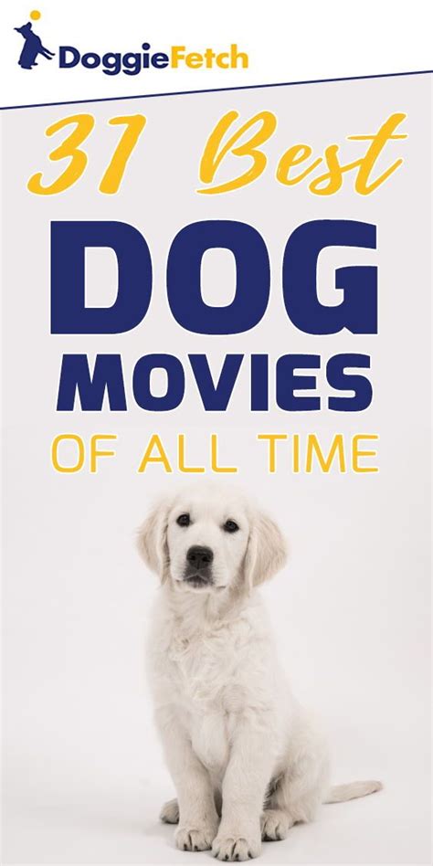 31 Best Dog Movies Of All Time Doggiefetch Dog Movies Best Dogs Dogs