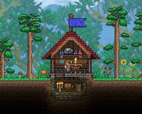 If you have any suggestions for other gu. Terraria house ideas, Terraria house design, Terrarium