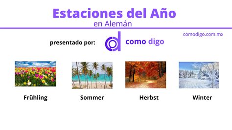 Estaciones Del Año En Alemán Aprende Las Estaciones En Alemán