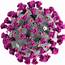 Covid 19 Virus Png Transparent Background  Icons