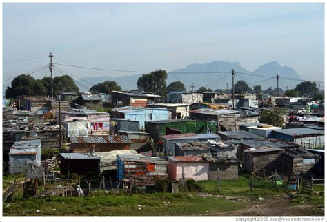 Khayelitsha Township Photo Id 11495 Capetown
