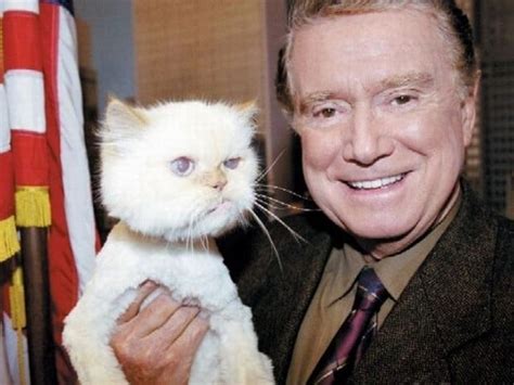 20 Celebrities Who Love Their Cats