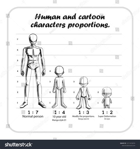 Vektor Stok Human Cartoon Characters Proportions Tanpa Royalti