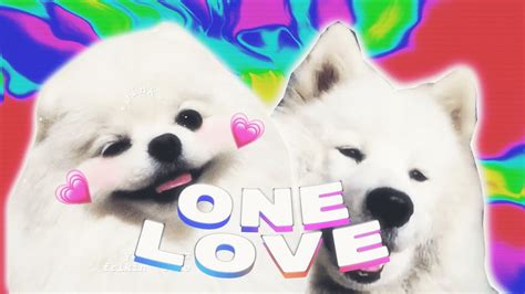 One Love 💕💕💕 Doggo Edit Youtube