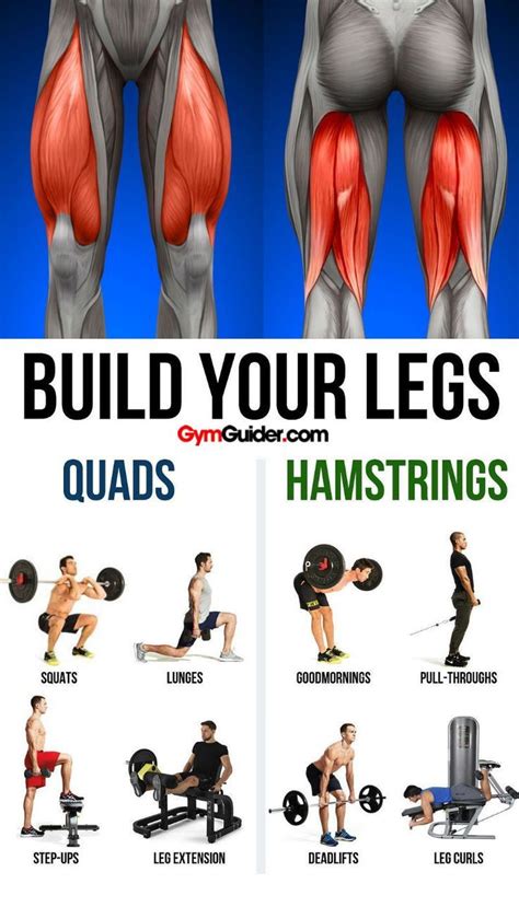 Build Bulging Bigger Legs Fast With This Workout GymGuider Com Gym