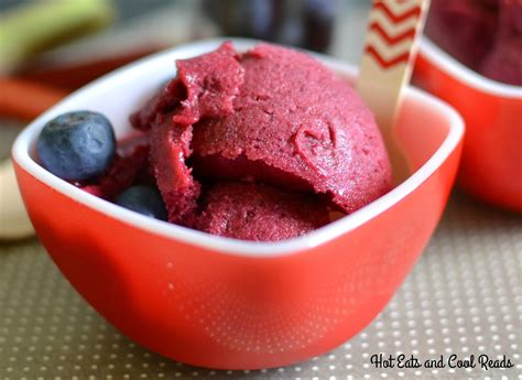 Blueberry Rhubarb Sorbet Recipe