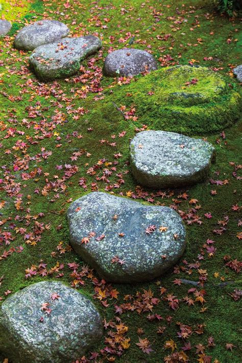 Stepping Stones Yoshiki Park Nara Japan Japanese Garden Japanese