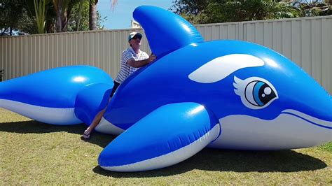 Jumbo 5m Inflatable Whale Ride Youtube