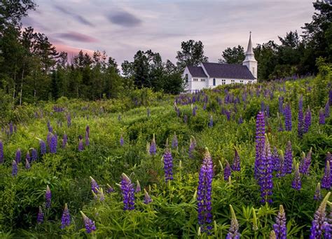 10 Charming Small Towns In New Hampshire Purewow